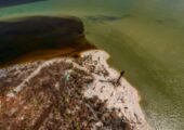 Drone captures crimson tide of nutrient-laden stormwater flowing out Caloosahatchee post-Ian