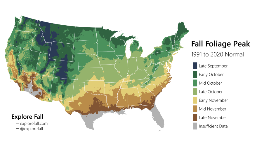 Falling for Fall, in Florida. Yes, we get a change of leaf!