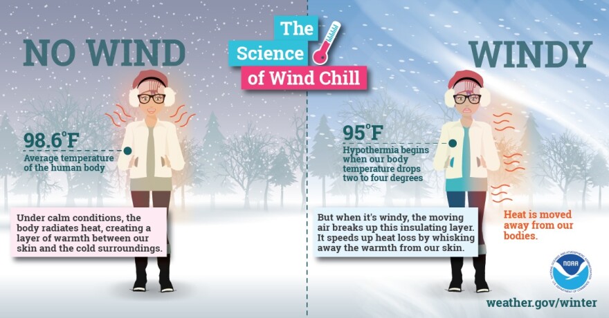 Are you ready for Florida’s winter hazards?